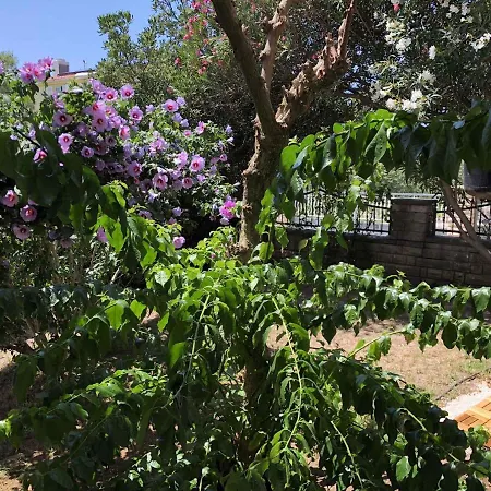 Holiday Home Marija.1 Petrcane