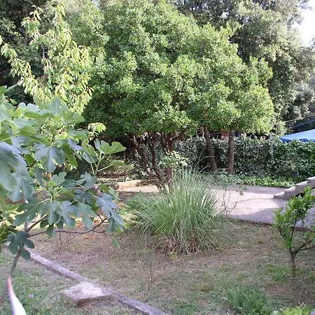 Holiday Home Marija.1 Petrcane